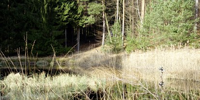 Wasserprojekt - Klimaschutz: Wasserschutzprojekte - Potsdam - Wunderlichs Moor - Moorerhaltung nördlich von Berlin - Liepnitzsee