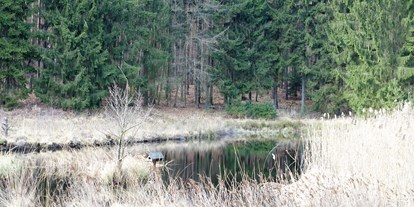 Wasserprojekt - Klimaschutz: Wasserschutzprojekte - Potsdam - Wunderlichs Moor - Moorerhaltung nördlich von Berlin - Liepnitzsee