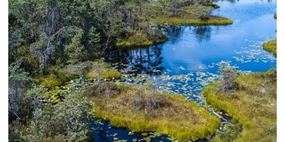 Wasserprojekt - Gewässerschutz: Moore - Brandenburg an der Havel - MoKli - Moor- und Klimaschutz