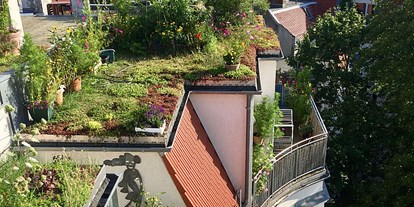 Wasserprojekt - Trinkwasserschutz: Trinkwasserschutz - GründachPLUS – Berlins Förderprogramm für mehr Dachbegrünung