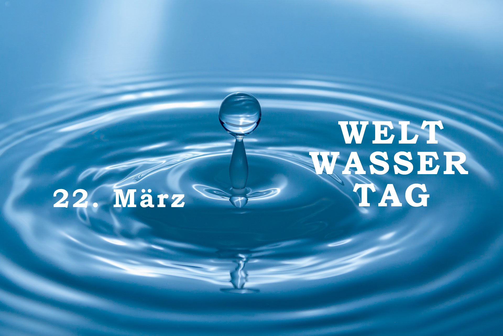 Rückblick der Veranstaltungen zum Weltwassertag 2025 - STIFTUNG WASSER