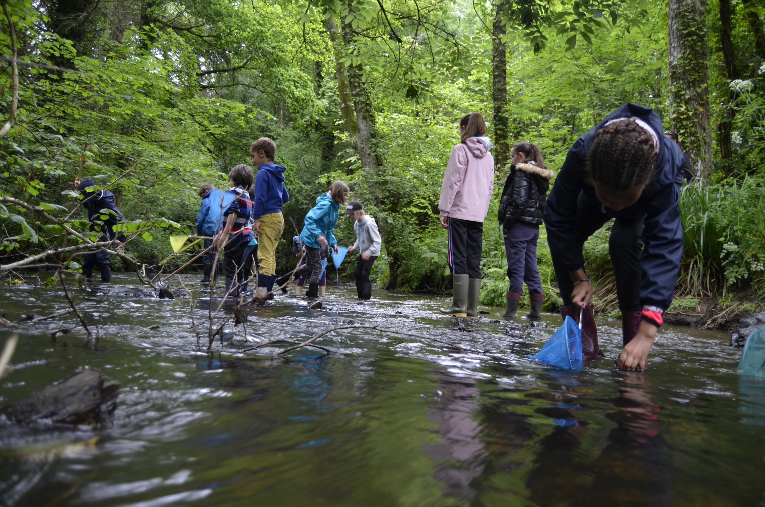 Bachpatenschaften in Deutschland  - STIFTUNG WASSER