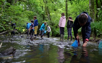 Bachpatenschaften in Deutschland - STIFTUNG WASSER
