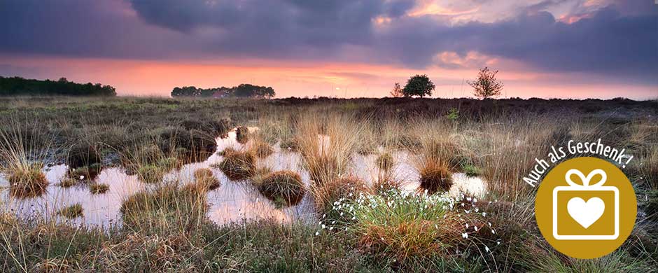 Moorpatenschaften - STIFTUNG WASSER