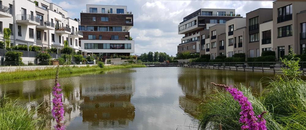 Das Schwammstadt- Konzept in Berlin  - STIFTUNG WASSER