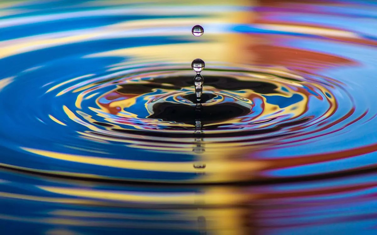 Auftaktveranstaltung des Gemeinschaftswerks Nachhaltigkeit zum Jahresthema Wasser  - STIFTUNG WASSER