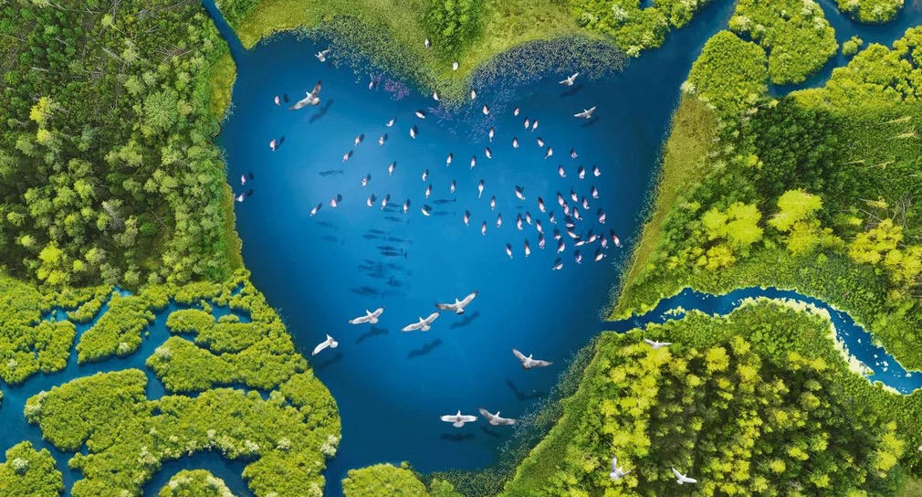Welttag der Feuchtgebiete (World Wetlands Day)  - STIFTUNG WASSER