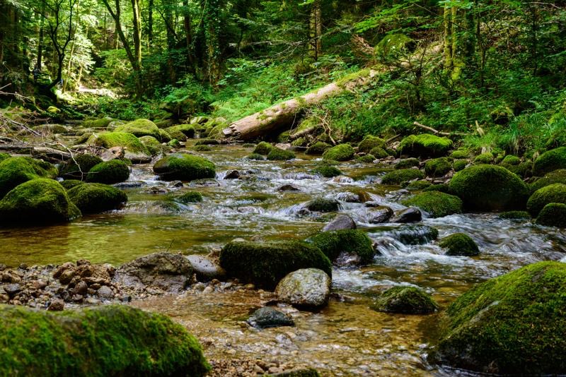 Das war die 15. Fachtagung "Wald und Wasser"  - STIFTUNG WASSER