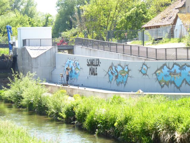 Wasser - Fischaufstiegsanlage Schnellermühle in Pfinztal-Berghausen