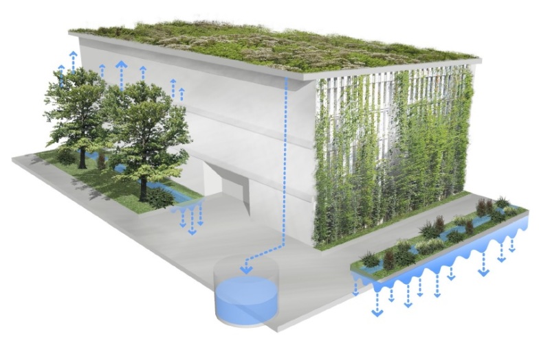 Wasser - Regenwasserbewirtschaftung - ausgewählte stadtökologische Projekte in Berlin