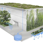 Wasser - Regenwasserbewirtschaftung - ausgewählte stadtökologische Projekte in Berlin