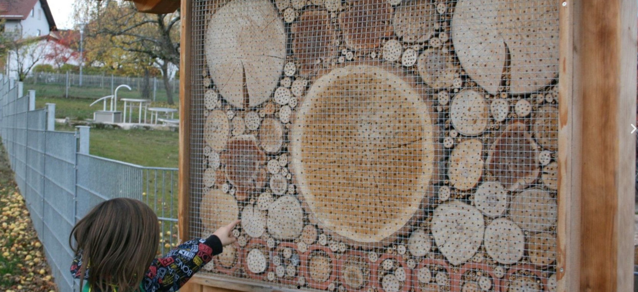 Wasser - Wasserprojekt Grundschule Kaisersbach