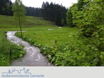 Wasser -  Lernort: Gewässer – Ökologie und Gewässergüte erforschen