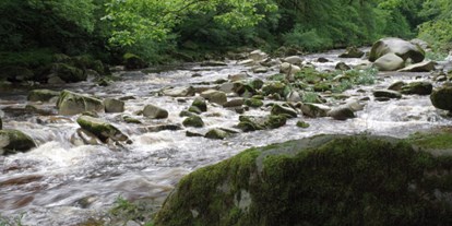 Wasserprojekt - Klimaschutz: Wasserschutzprojekte - Waiblingen - Fließgewässerschutz Baden Würtenberg