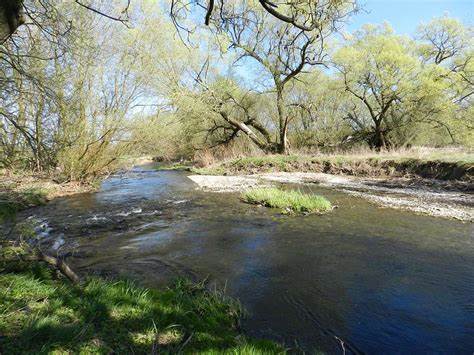 Wasser - Fließgewässerschutz in Thüringen