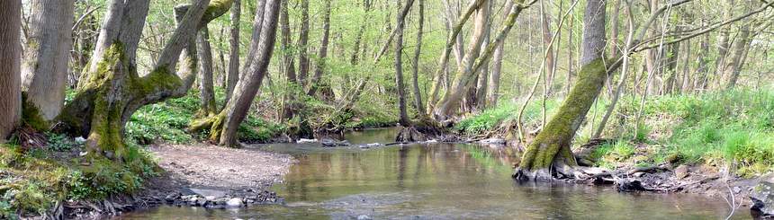 Wasser - Fließgewässer - Bewertungen