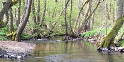 Wasserprojekt - Gewässerschutz: Fließgewässerschutz - Sachsen-Anhalt - Fließgewässer - Bewertungen