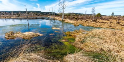 Wasserprojekt - Moorprojekte: Moorschutzprojekte - Österreich -  	 Renaturierung Beeinträchtigte Lebensräume aufwerten