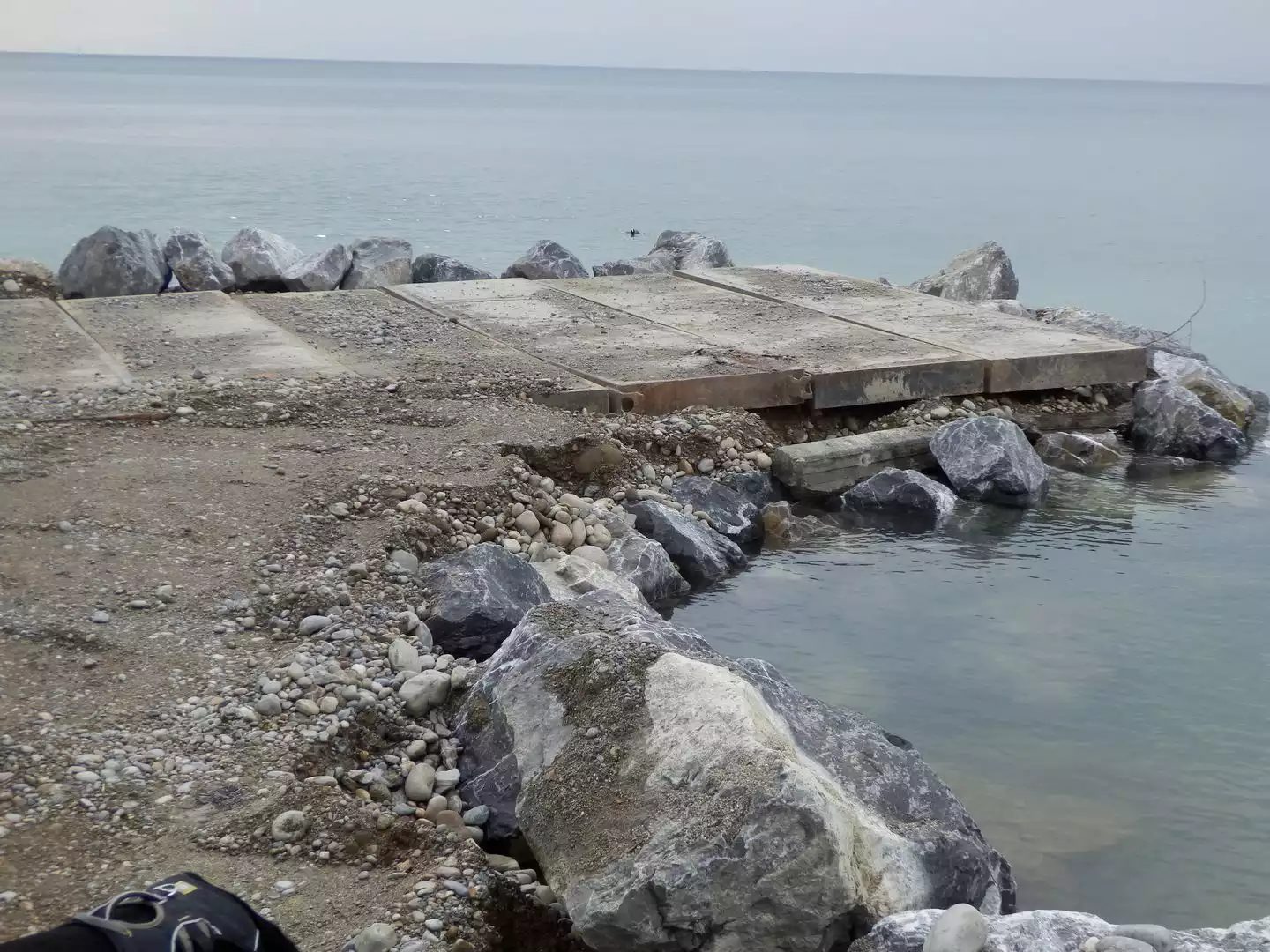 Wasser - Renaturierung Bodenseeufer 