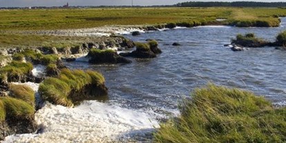 Wasserprojekt - Klimaschutz: Wasserschutzprojekte - Fischland - Hochmoorrenaturierung Mecklenburg-Vorpommern