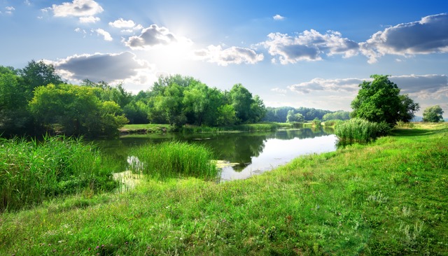 Wasser - Trinationales Jugendprojekt - Wasser verbindet