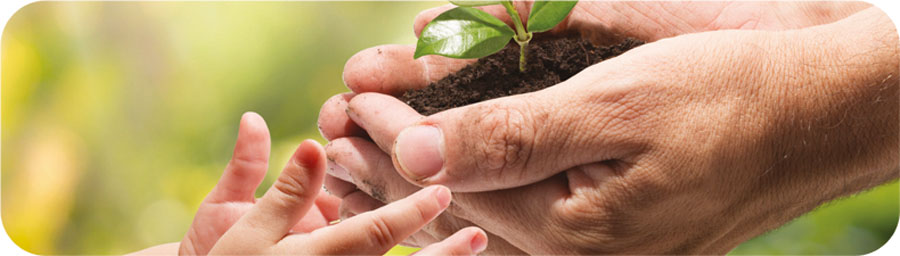 Wasser - Das Wasser - Kindern Nachhaltigkeit vermitteln