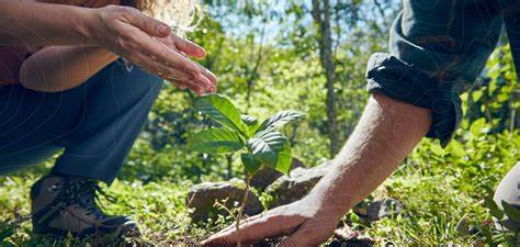 Wasser - Die Ressource Wasser ist lebenswichtig