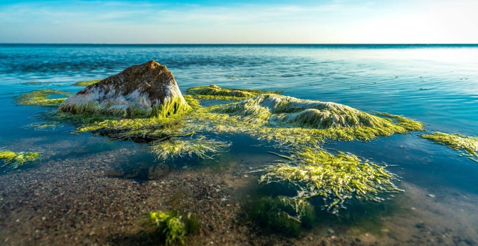 Wasser - Willkommen in Unterwasserwelt der Ostsee
