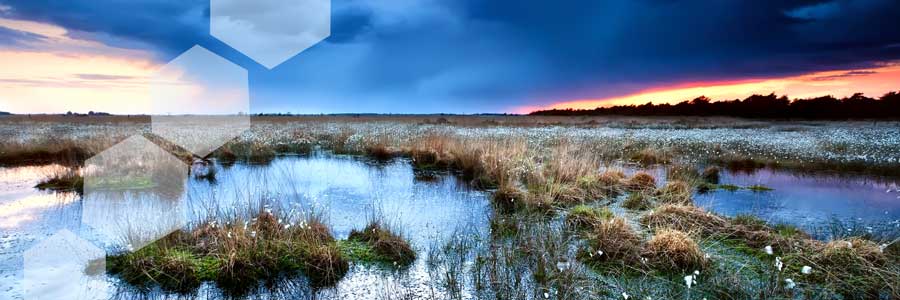 Wasser - Das Ökosystem Moor schützen, denn Moorschutz ist Klimaschutz!
