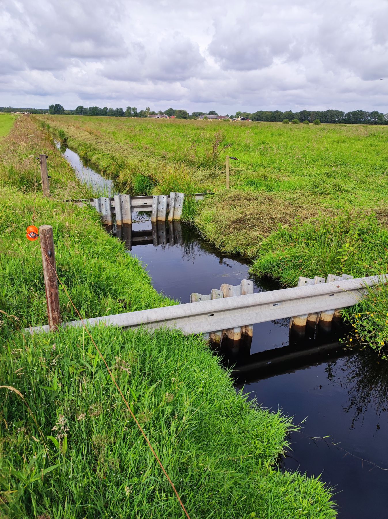 Wasser - Moorschutz - Paludikultur-Projekte