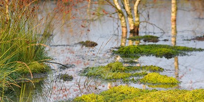 Wasserprojekt - Gewässerschutz: Moore - Wiesloch - Moorschutzprogramm Baden-Württemberg 