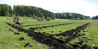 Wasserprojekt - Moorprojekte: Moorwiedervernässung - Leipheim - Allgäuer Moorallianz