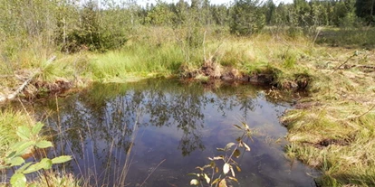 Wasserprojekt - Moorprojekte: Moorwiedervernässung - Leipheim - Haubacher Moos, Gemeinde Isny, Kreis Ravensburg