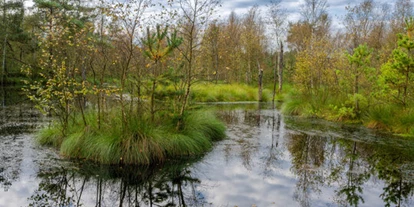 Wasserprojekt - Gnarrenburg - Naturschutzgebiet Heilsmoor