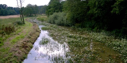 Wasserprojekt - Gnarrenburg - Naturschutzgebiet ´Springmoor bei Hollenstedt´