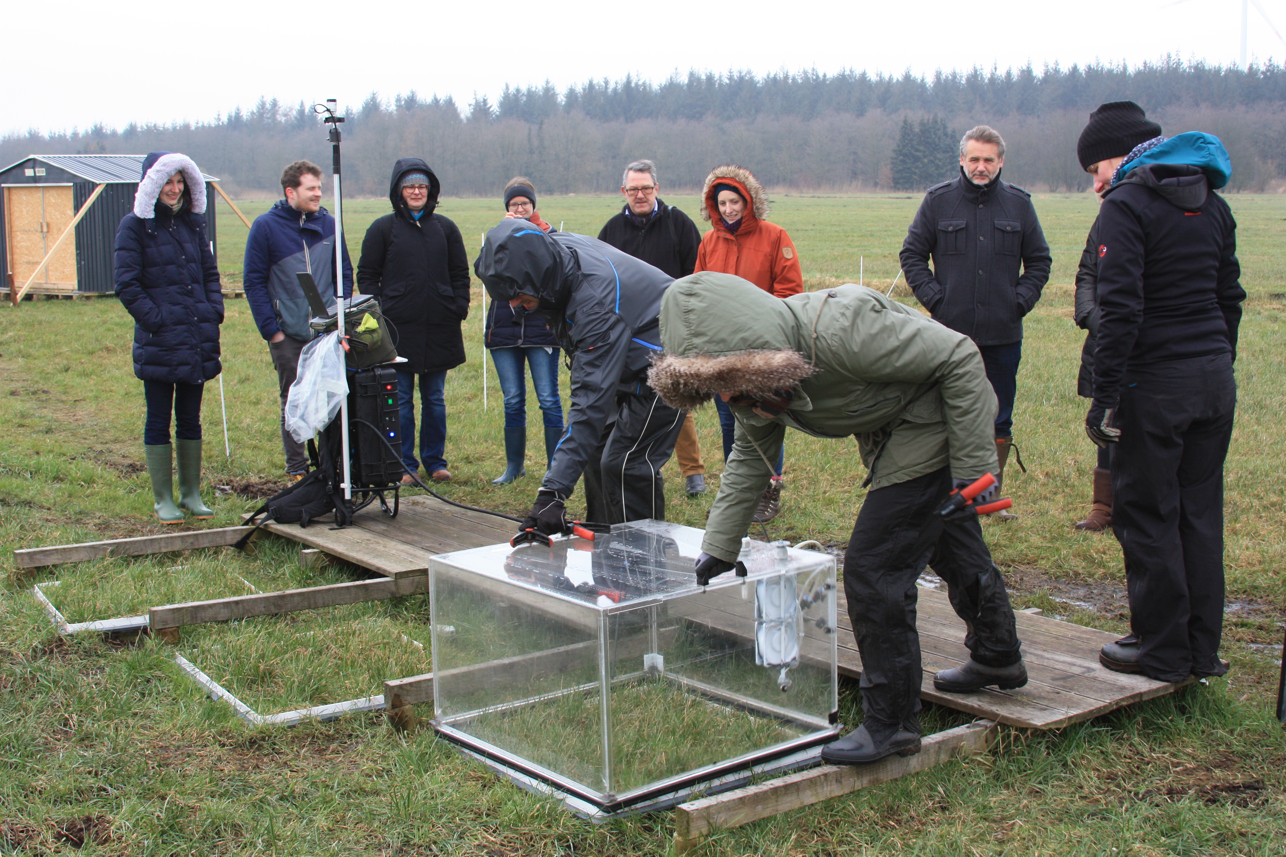 Wasserprojekt - Gewässerschutz: Moore - Neumünster - Moorverbundprojekt SWAMPS