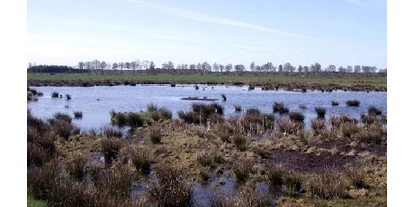 Wasserprojekt - Gnarrenburg - Ipweger Moor