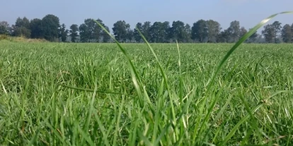 Wasserprojekt - Gnarrenburg - Hammelwarder Moor