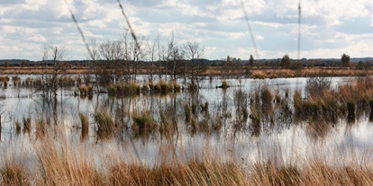 Wasserprojekt - Gnarrenburg - Moor rund um Gnarrenburg