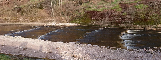 Wasser: Ökologischen Durchgängigkeit am Esselwehr