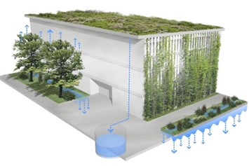 Wasser: Regenwasserbewirtschaftung - ausgewählte stadtökologische Projekte in Berlin