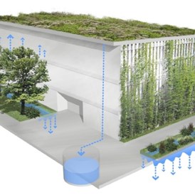 Wasser: Regenwasserbewirtschaftung - ausgewählte stadtökologische Projekte in Berlin