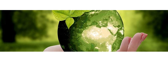 Wasser: Hamburger Bildungsserver - Thema Wasser