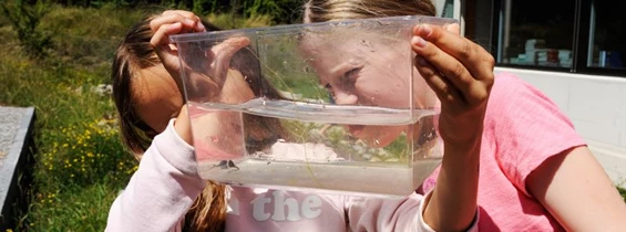 Wasser: PUSCH - Umweltunterricht «Wasser»