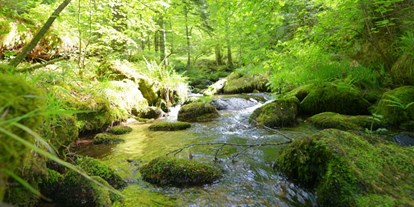 Wasserprojekt - Gewässerschutz: Fließgewässerschutz - Neuffen - Baden Würtenberg Filme Wasserschutz