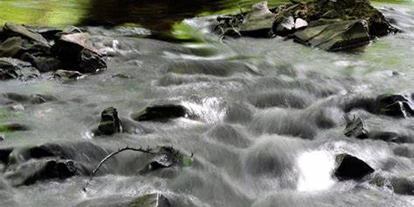 Wasserprojekt - Gnarrenburg - Niedersachsen - Fließgewässerschutz im Wald