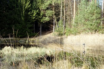 Wasser: Wunderlichs Moor - Moorerhaltung nördlich von Berlin - Liepnitzsee