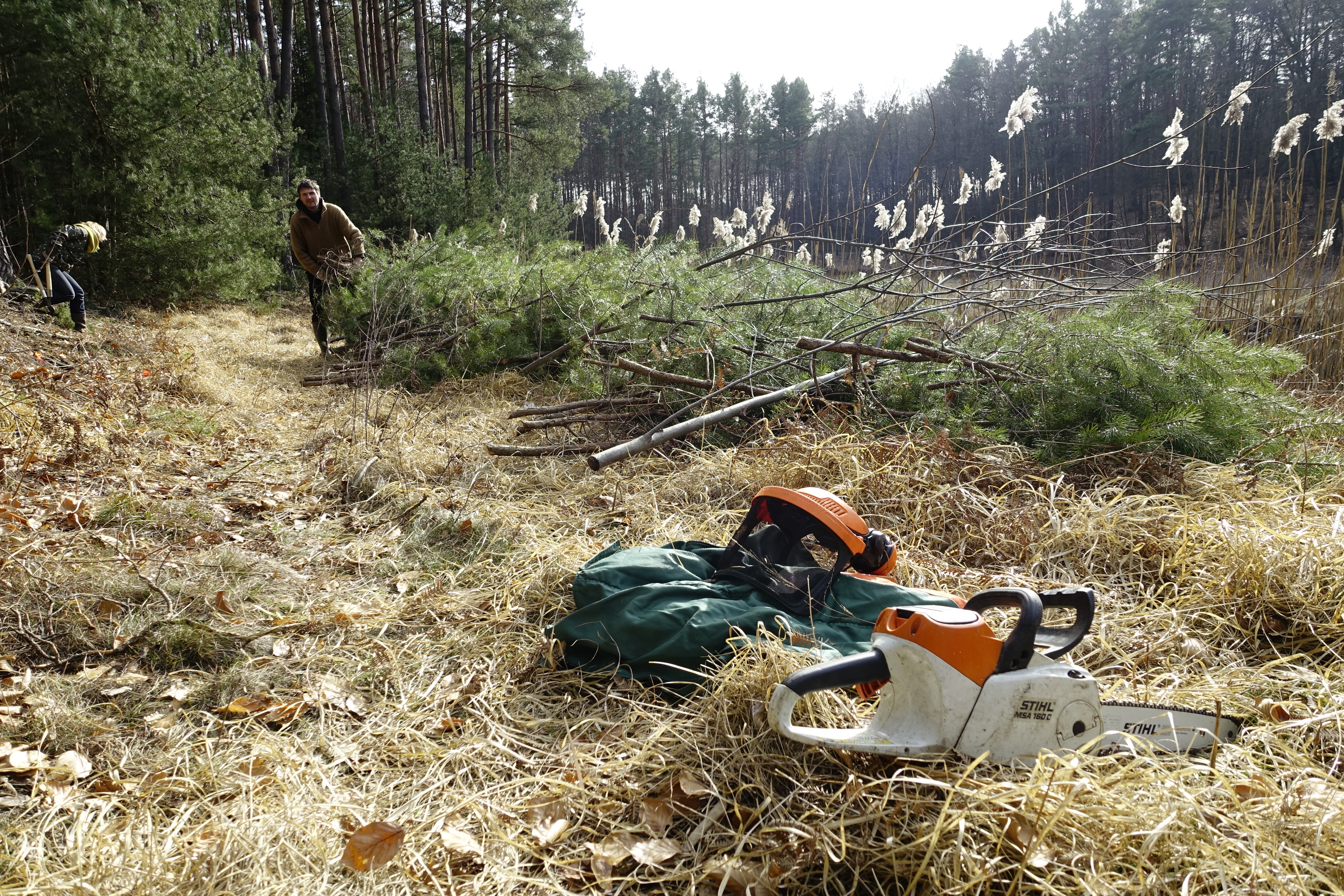 Wasser: Wunderlichs Moor - Moorerhaltung nördlich von Berlin - Liepnitzsee