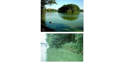 Wasserprojekt - Gnarrenburg - Schleswig Holstein - Regeneration von Seen