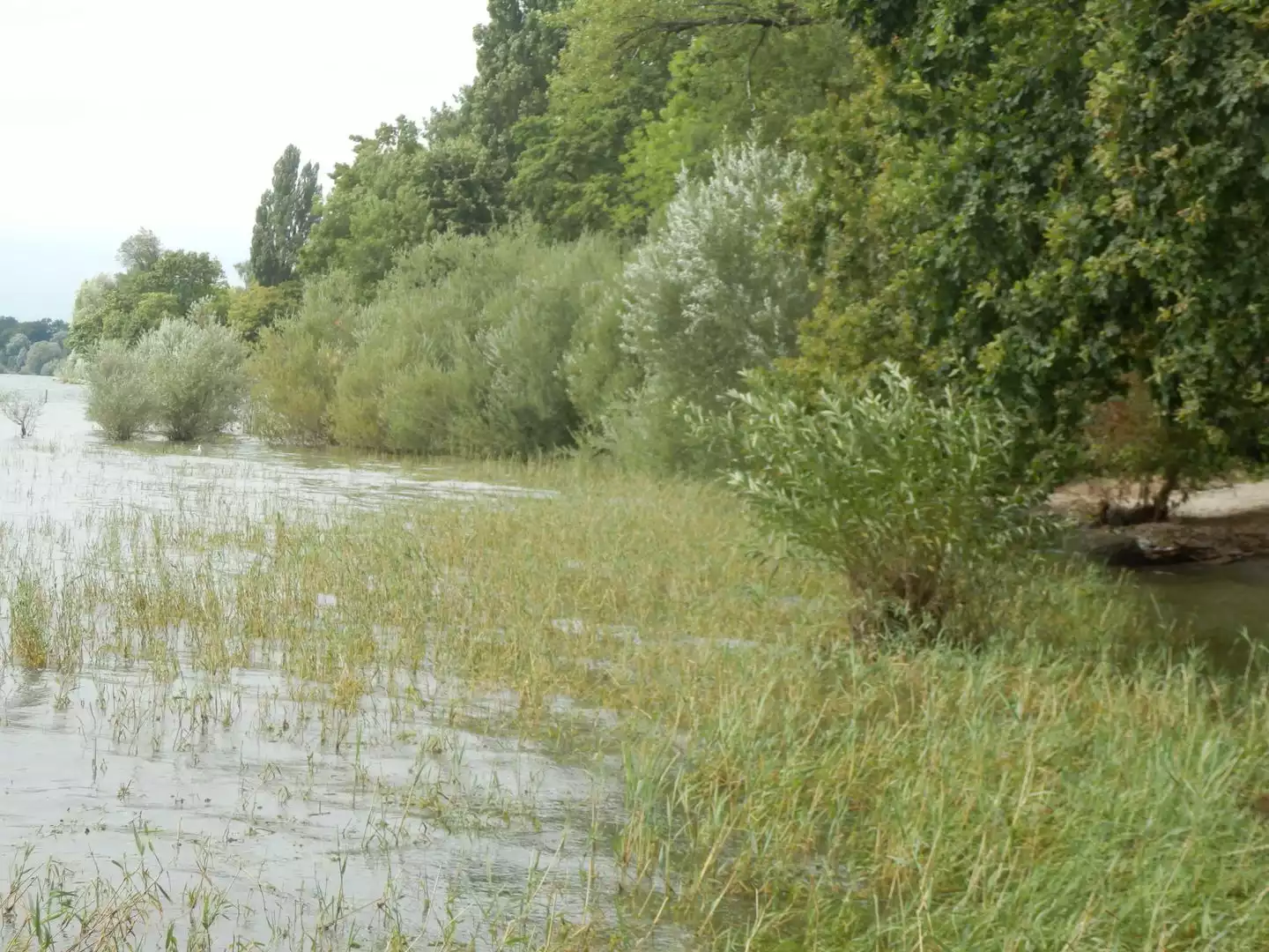 Wasserprojekt - Gewässerschutz: Gewässerschutz - Region Schwaben - Renaturierung Bodenseeufer 